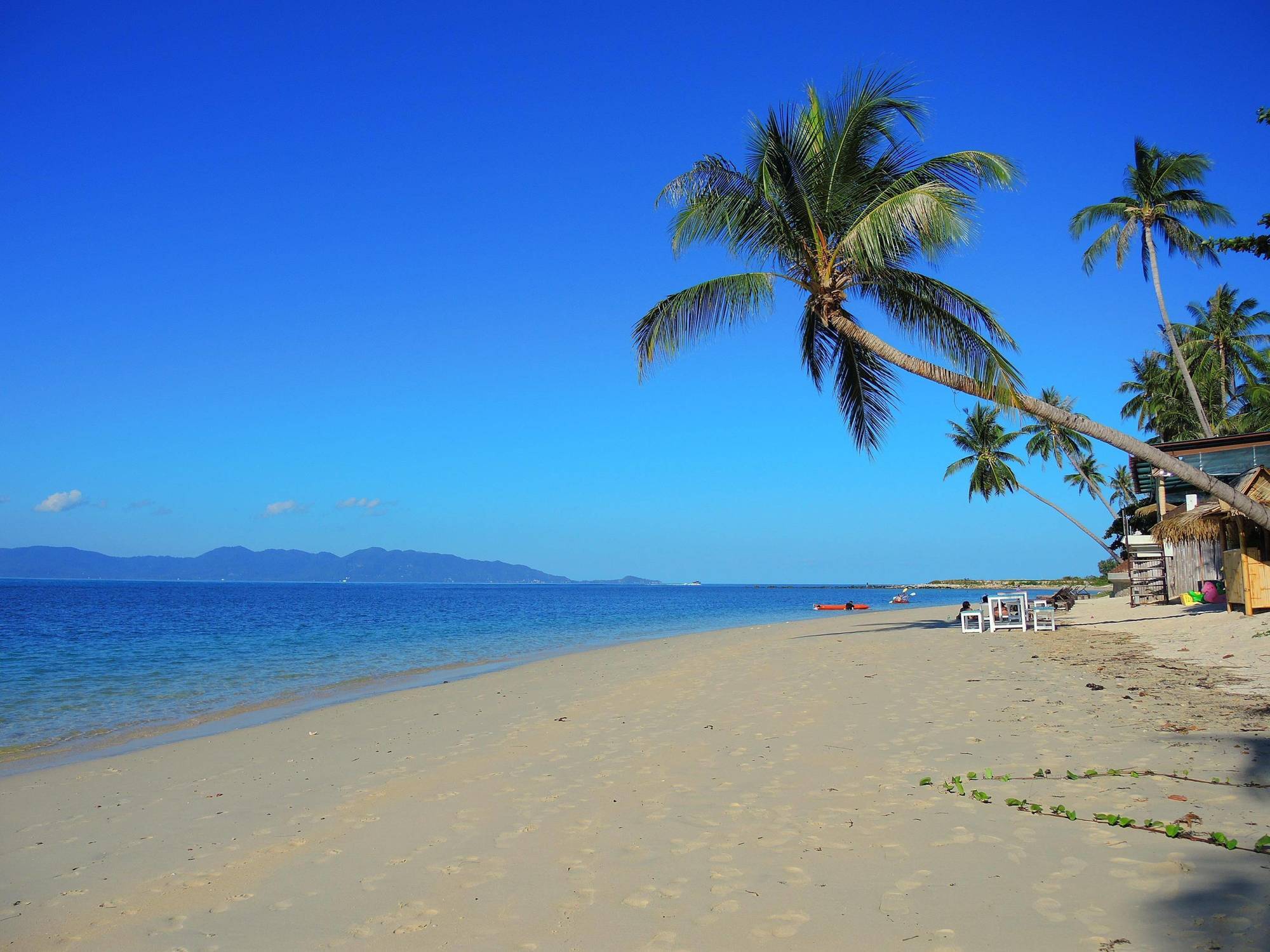 Samui Tropical Apartment *